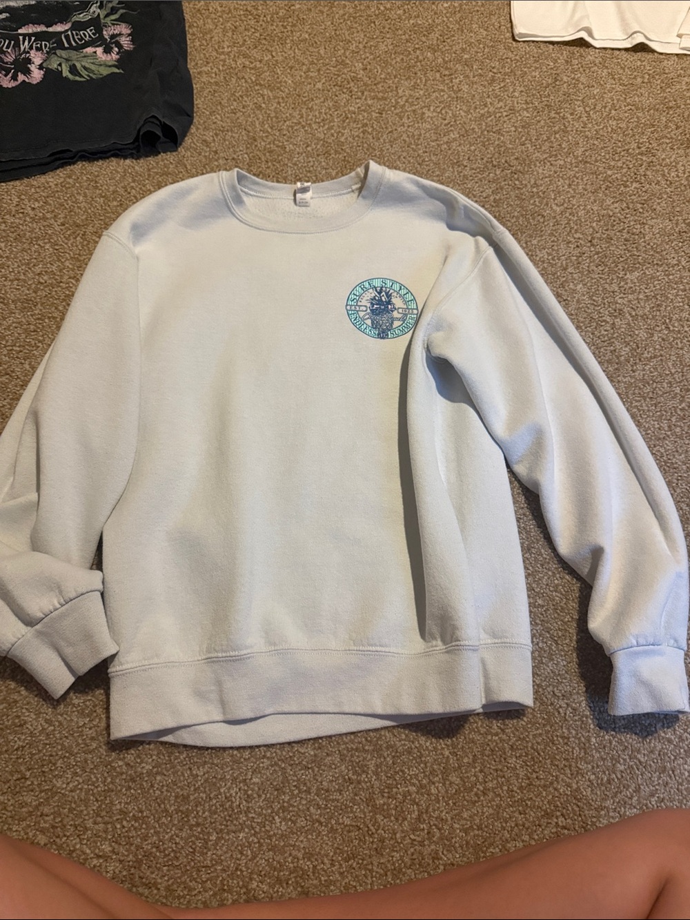 Light Blue Crewneck Sweatshirt with Small Chest Graphic